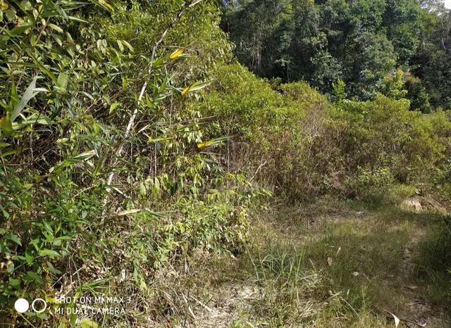 Tanah Berbukit Landai 1