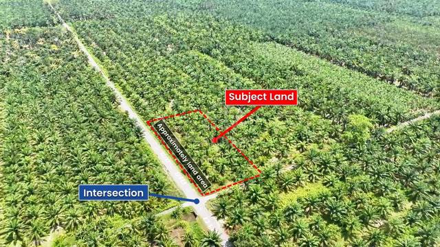 Agricultural Land - Sekinchan, Sabak Bernam, Selangor 1
