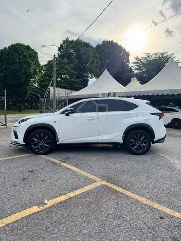 2018 Lexus NX300 2.0 F SPORT (A) - 4