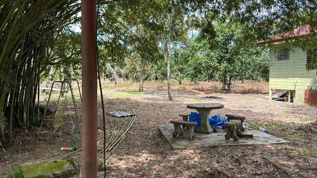 1.4 Acre Durian With House and Water Stream Freehold Non Bumi Kalumpan 1