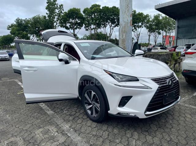 2019 Lexus NX 300 2.0 PREMIUM (A) - 1