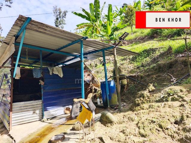 8.1 Acres | High Mountain | Agricultural Land | Junjung | KEDAH 1
