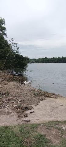 tanah nk jual murah 1