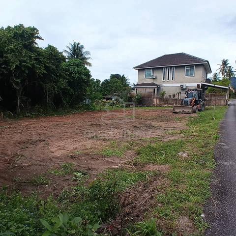 balik pulau 1