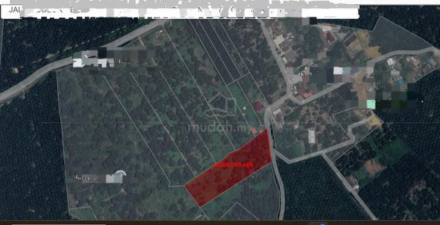 [FREEHOLD] Jasin Bemban Mukim Ayer Molek Very Nice Agriculture Land 1