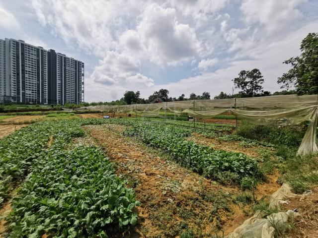 Johor Bahru Taman Perling 4 Acre Zoning Residential Land Rm90 psf 1
