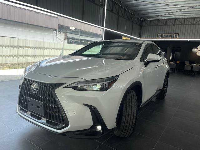 2023 Lexus NX 250 2.5 GRADE 5/A JPN UNREG - 2