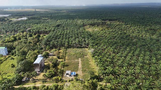 NONBUMI 1.5ac Land @ Tanjung Sedili, Kota Tinggi 1