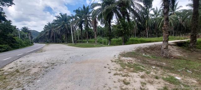 20ekar, Tanah Pertanian, Selama, Perak 1