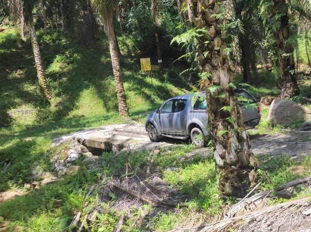 Freehold Palm oil Land 73 Acres Pusing Batu Gajah Perak 1