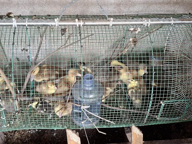Carousel Image