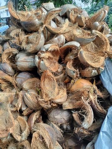 Sabut Kelapa - photo 2 of 2