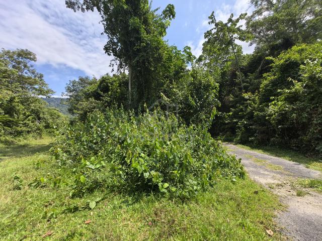 Tanah untuk Dijual – Lokasi Strategik di Tampin, Negeri Sembilan 2