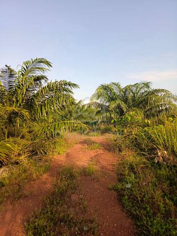 Bukit Nanimg Ayer Hitam 1