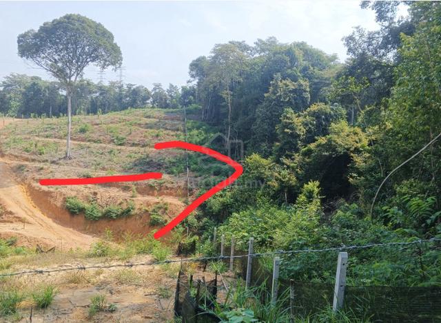 tanah untuk berkebun ingin dijual 1