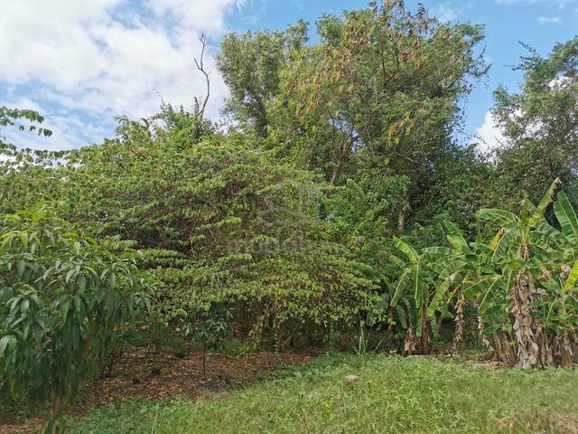 TOWN AREA 6 Bungalow Land Near Pacific/Star Parade Alor Setar For Sale 1