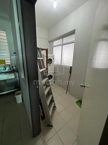 The Oasis 5
