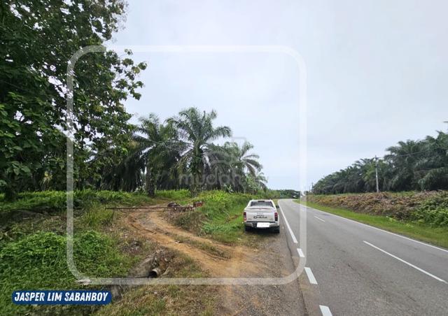Oil Palm Land with Excellent Highway Visibility ⭐⭐ 1