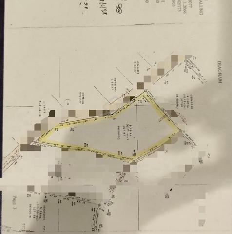 Kebun Sawit untuk dijual 1