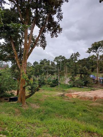 Ulu Tiram Kota Tinggi Land 11 Acres for Sale 1