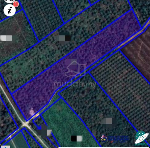 Freehold Int'l Lot Oil Palm Land Kg Sungai Burong, Pekan Nanas Pontian 4