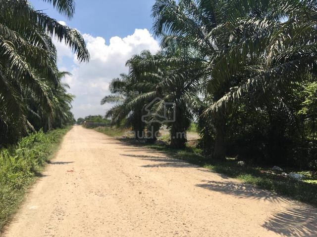 Kapar Town 14miles 1 Acre Land Sale 1