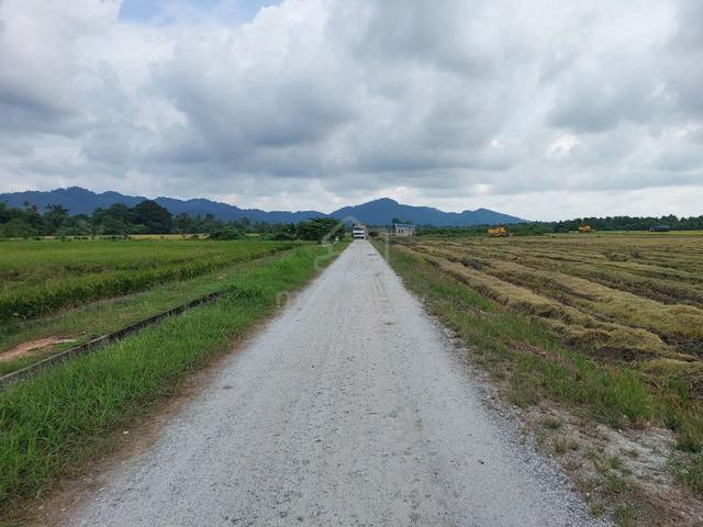 BALIK PULAU, Penang, Tanah Pertanian (Tanaman Padi), Akses baik 3