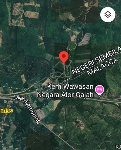 [FREEHOLD] Alor Gajah Tampin Very Nice Agriculture Lands At Road Side 1