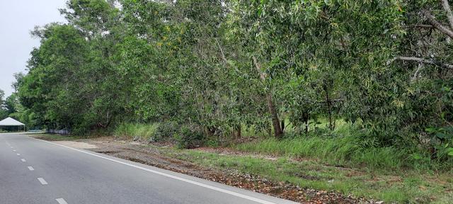 Industrial Land 4 acres at Jalan Gambang, Kuantan Pahang 3
