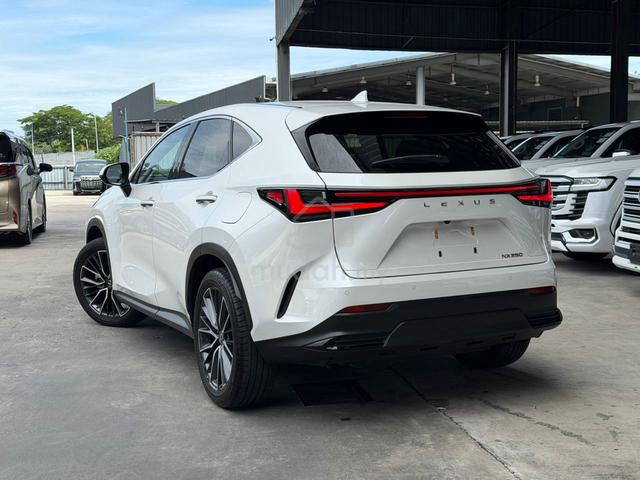 2023 Lexus NX 250 2.5 LUXURY (A) - 2