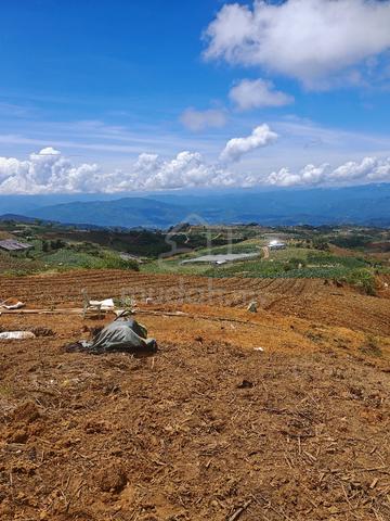 TANAH MONTOKI MESILAU KUNDASANG – View GUNUNG KINABALU Depan Mata! 🏔️ 1