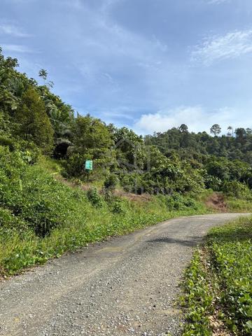 Tanah cantik NT 13.3 ekar kimanis 1
