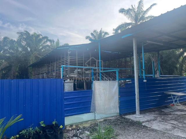 Johor Pontian Agricultural Leasehold Land For Sale 1