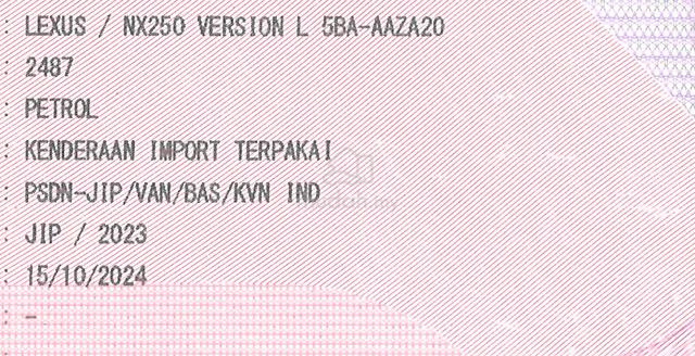 2023 2024 Lexus NX250 2.5 (A) LUXURY FSPT WRTY2029 - 5