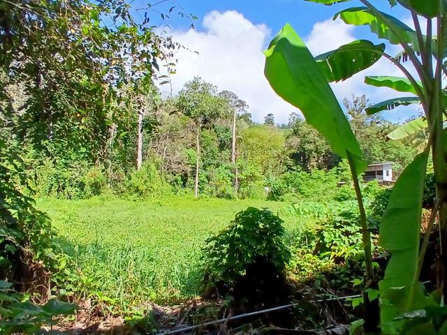 Tanah Pertanian Tepi Jalan + 3 Buah Rumah , Batu 18 , Hulu Langat 1