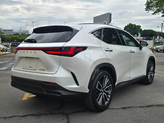 2023 Lexus NX250 2.5 VER-L [ UNREG ] - 4