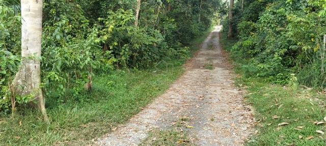 Tapak Rumah cantik.. (1/2 ekar).. di Kg. Cengkau/ Kota.. Rembau 1