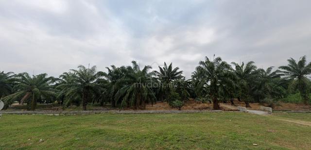 Telok Panglima Garang Banting sell Agriculture land zoning Residential 1