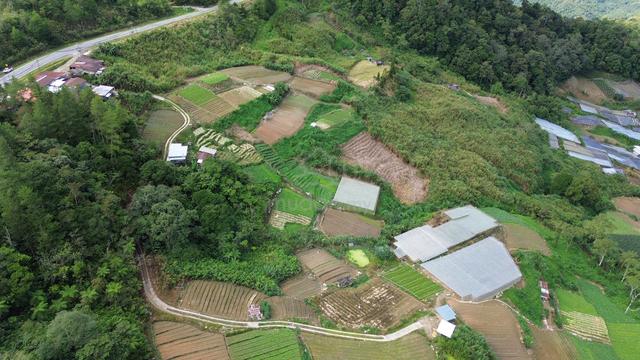 Kundasang Native Land Agriculture 1
