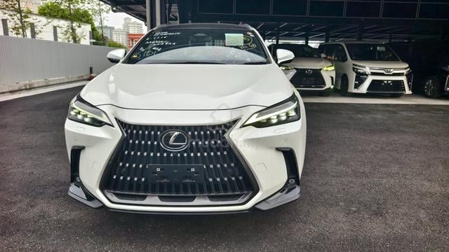 2023 Lexus NX250 2.5 LUXURY (A) - 1