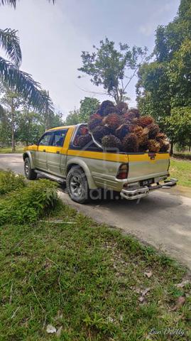 Tanah Pertanian 6.0 Ekar Ladang Kelapa Sawit Seberang Tayor 1