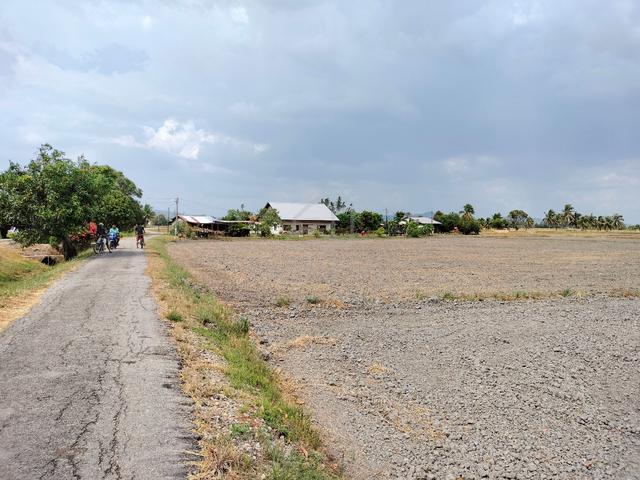 * Agriculture Land Paddy Field in Guar Kepah, Kepala Batas, Penang 1