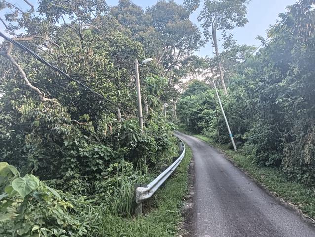Dusun Durian Kampung 5