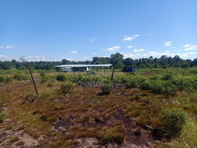 tanah kebun untuk dijual 1