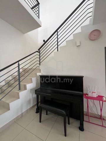 Anggerik taman anggerik impian emas 4