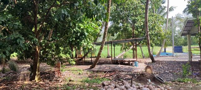 tanah kebun 1