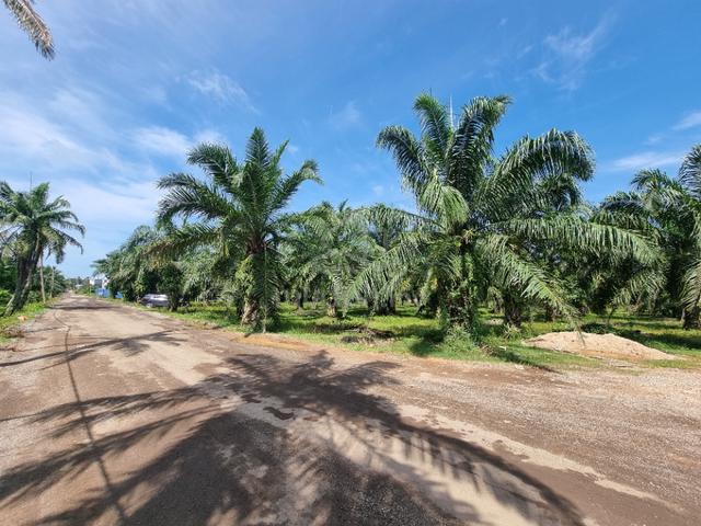 Zoning Industrial Agricultural Land For SALE,Location More Convenient 2