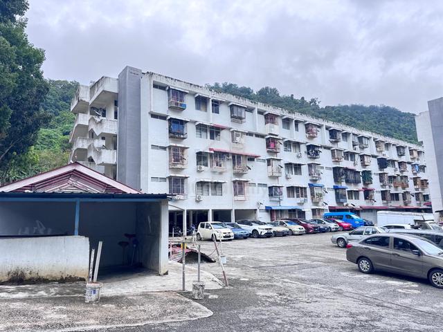 Taman Terubong Jaya 1