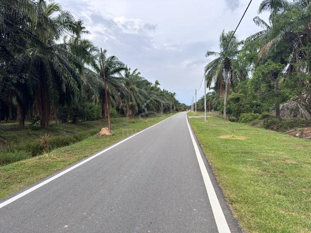 Freehold Agriculture Land For Sale At Sungai Pelek,Sepang,Selangor 1