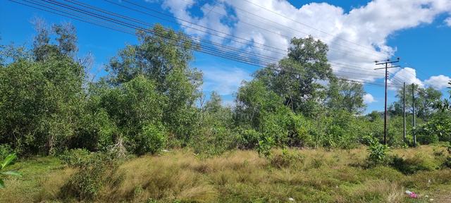 Tuaran Land, Zoning R(D) Public Sector Housing for Sale 1